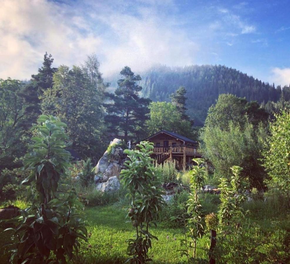 فندق Casa Baciu فوندو مولدوفي المظهر الخارجي الصورة